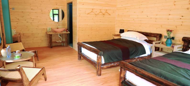 迭部赞普野奢生态营地图片