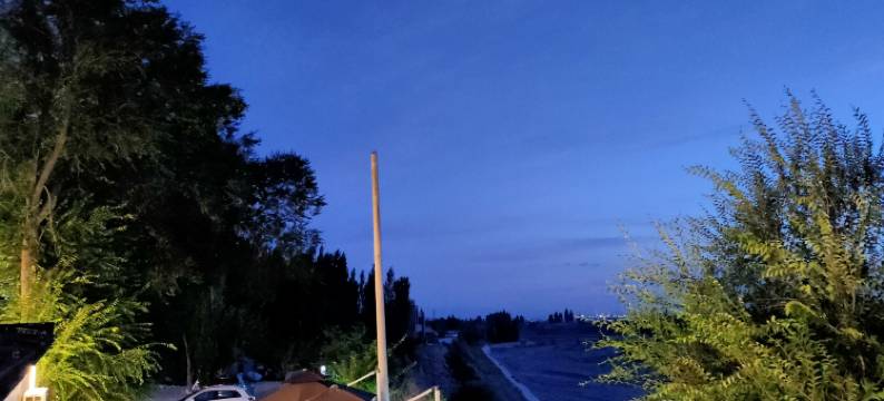 霍城青源梅舍·静谧时光庭院图片