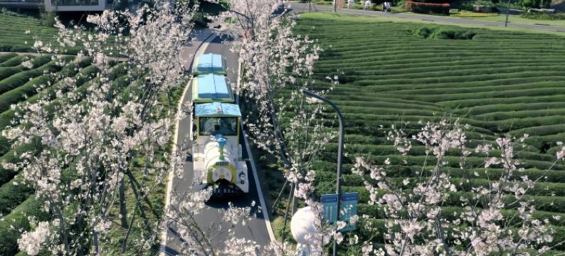 田博园玫瑰星空营地房车酒店(奇幻谷店)图片