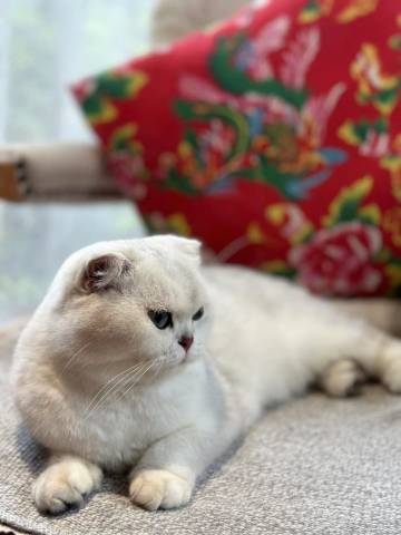 花雨醉·自然艺术度假民宿(宁波奉化大堰镇店)图片