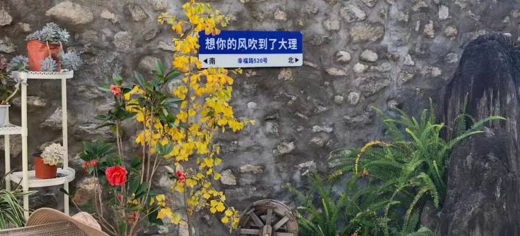 大理云水小院民宿(古城南门五华楼店)图片