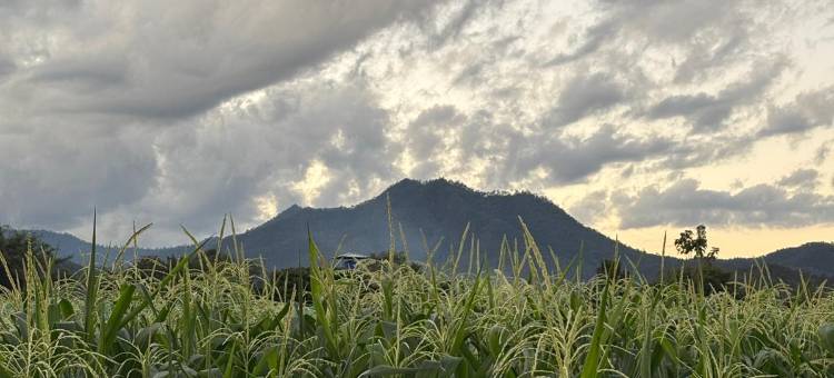 清道乐天园(Paradise Resort & Cafe)图片