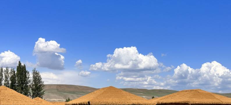 马帮寨营地图片