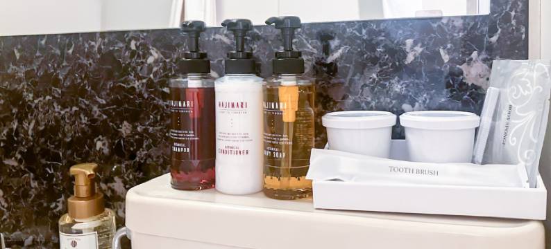 利夫马克斯酒店-东京东上野店(HOTEL LiVEMAX BUDGET Higashi Ueno)图片