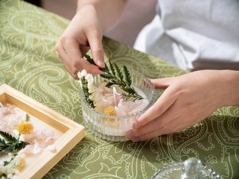 苏州四季酒店图片