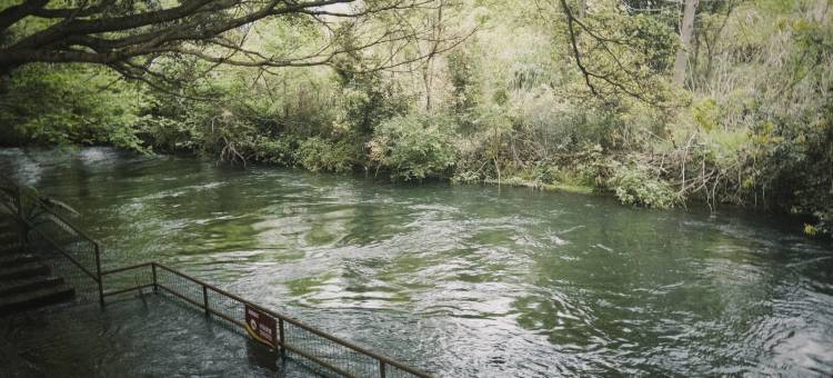 宁德霍童向阳宾馆图片