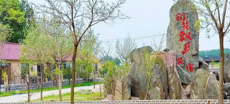 稻花飘香民宿图片