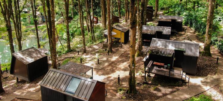 Bobocabin Ranca Upas, Bandung图片