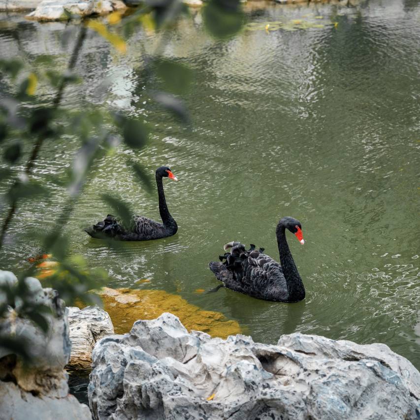 盐城大洋湾希尔顿逸林酒店图片