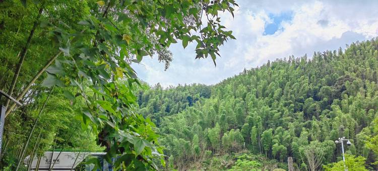 龙溪秘境民宿图片