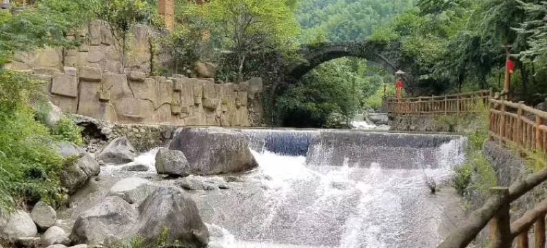 炎陵神农谷.密花生态园图片