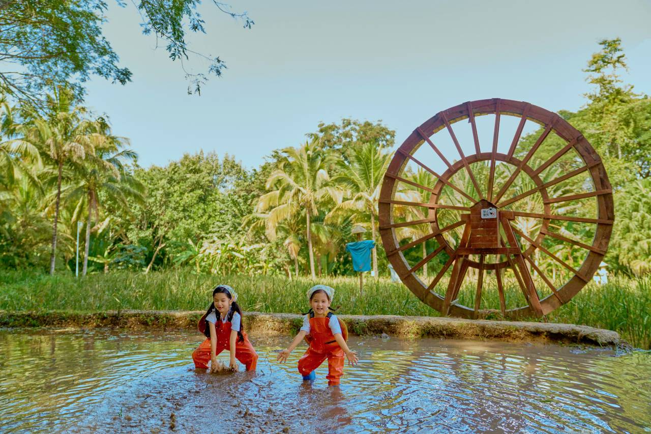 西双版纳洲际度假酒店图片