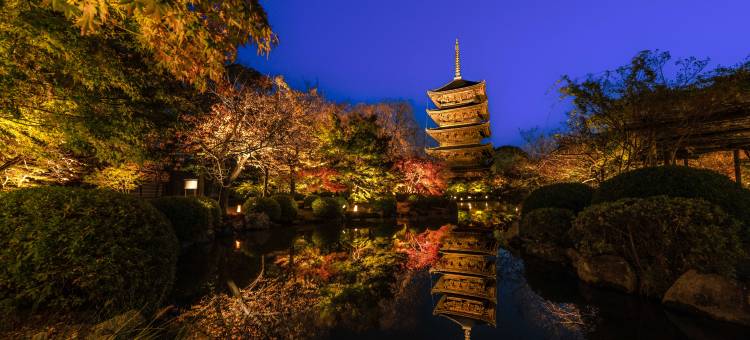 星野集团 OMO3 京都东寺(OMO3 Kyoto Toji by Hoshino Resorts)图片