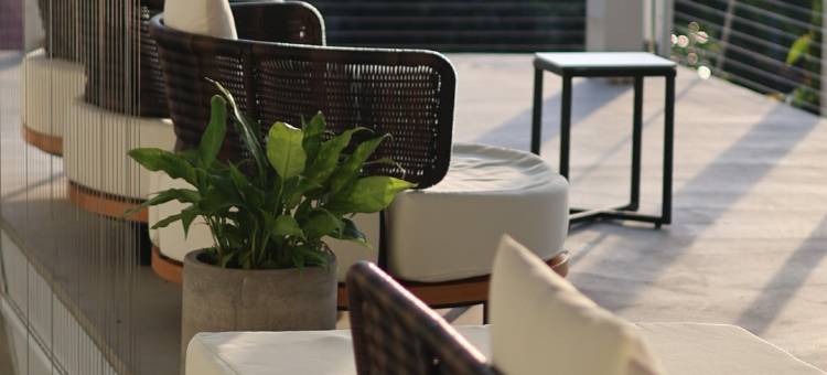 山久蒔X勺光X汎札嵐图片