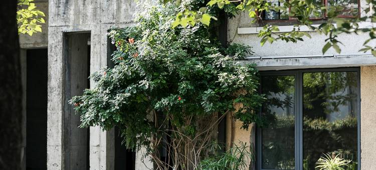 花筑奢·喜柿见·悦隐禾集·茶文化主题民宿图片