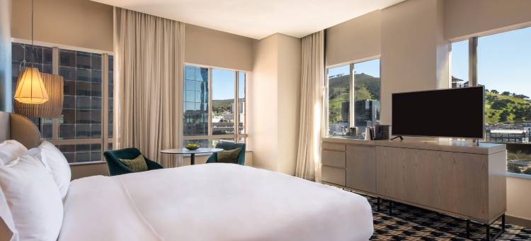 开普敦市中心铂尔曼酒店(Pullman Cape Town City Centre)图片