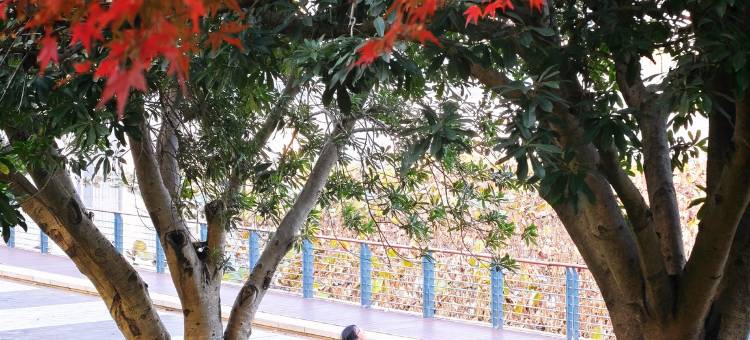 长沙梅溪湖万豪行政公寓酒店图片