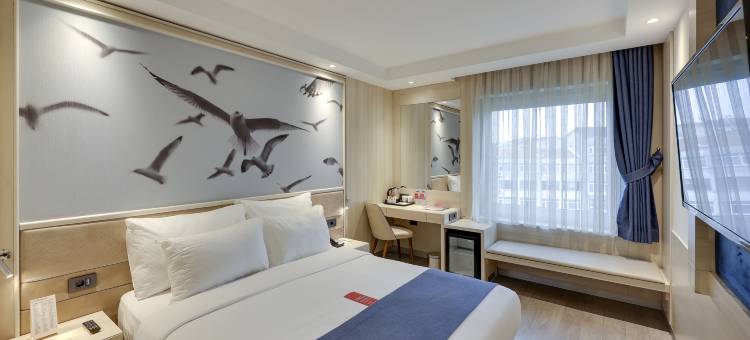 伊斯坦布尔老城华美达酒店(Ramada by Wyndham Istanbul Old City)图片