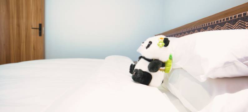 岷山·旌隐乡村酒店图片