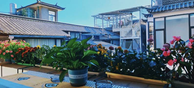 大理春与溪长・VIEWS 露台观海客栈(双廊风景区玉几岛店)图片