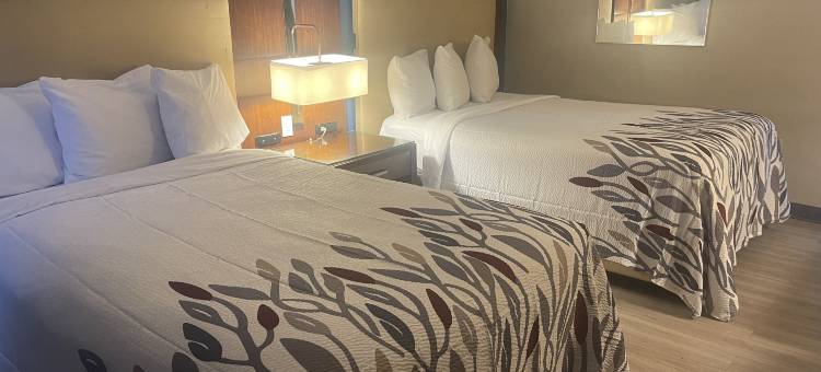 海恩斯维尔红屋顶旅馆(Red Roof Inn & Suites Hinesville)图片