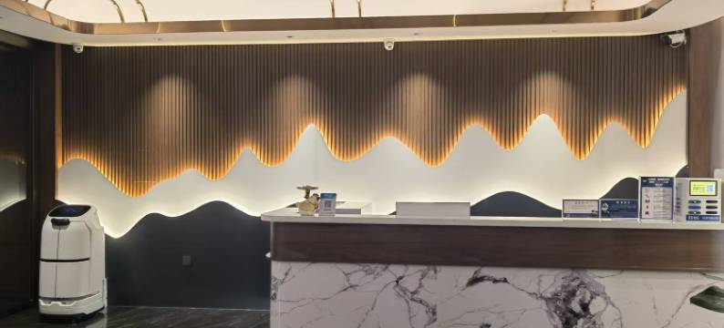 维乜纳酒店图片