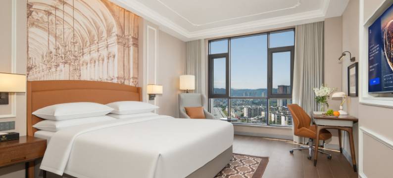 维也纳国际酒店(文山店)图片