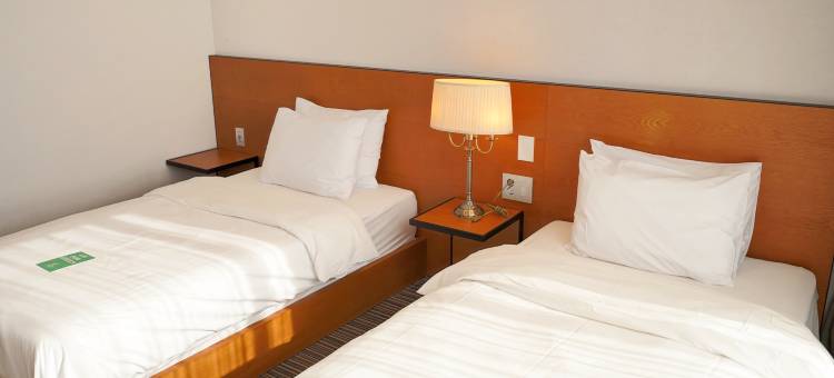 酒店之旅 仁川机场酒店及套房(Hotel Tour Incheon Airport Hotel & Suites)图片