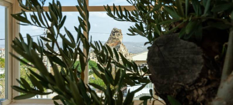 比斯蒂尔阿莱克萨斯玛特埃斯凯普阿达尔茨翁利(Be Still Alexa Smart Luxury Escape Adults Only)图片