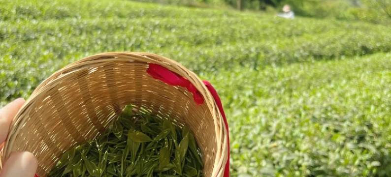 仙鹤湖·鹤鸣山居民宿(贺胜桥东站店)图片