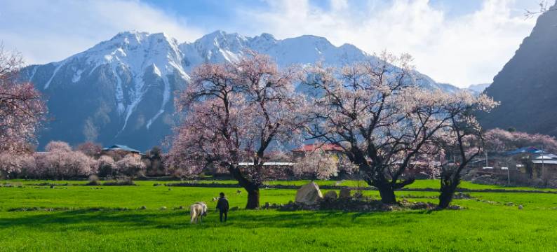 龙布仓▪观景丨LOBBUMTSANG●SANCTUARY富氧藏式别院(布达拉宫店)图片