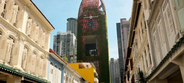 新加坡市中豪亚酒店 - 远东酒店(Oasia Hotel Downtown, Singapore by Far East Hospitality)图片