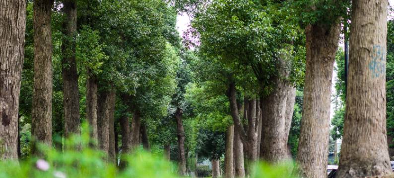 杭州太虚湖假日酒店图片