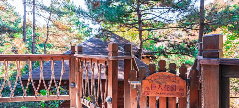 云峰山童话树屋图片