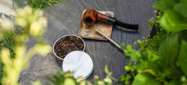 翔骑Flyrider·苹果姐姐机车客栈(大理古城店)图片