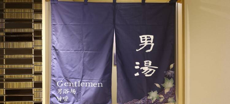 银座多美迎高级天然温泉酒店(多美迎・御宿野乃 酒店集团)(Dormy Inn Premium Ginza Natural Hot Spring)图片