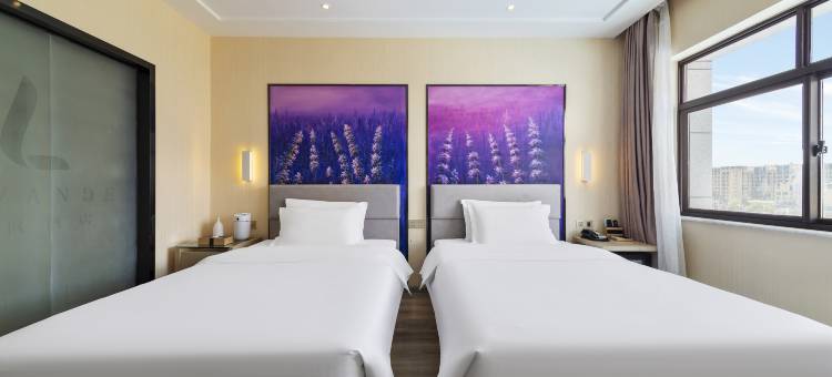 麗枫酒店(拉萨火车站店)图片