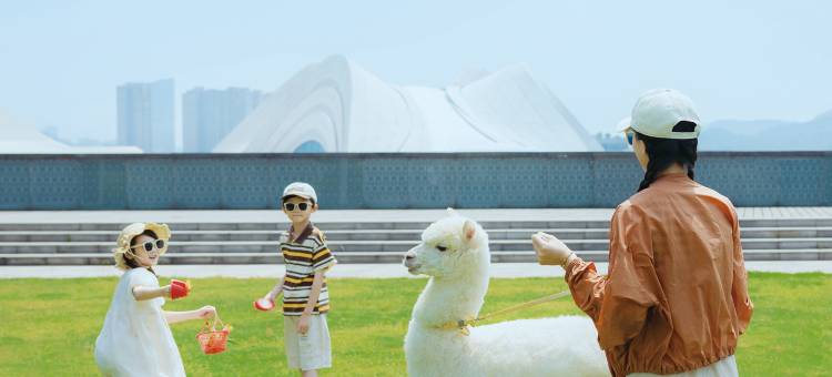 长沙梅溪湖金茂豪华精选酒店图片