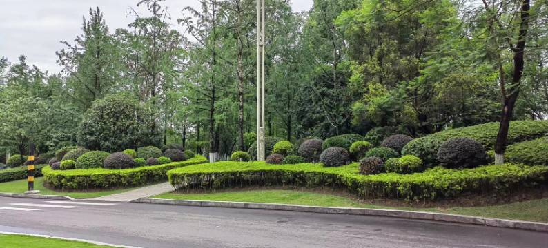 宜宾高铁站麓柏酒店图片