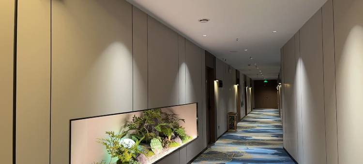 宜阳心安悦酒店图片