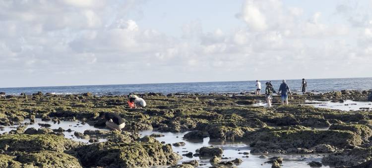 三亚大东海壹号酒店图片