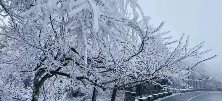 山涧静舍民宿(南岳衡山风景区店)图片