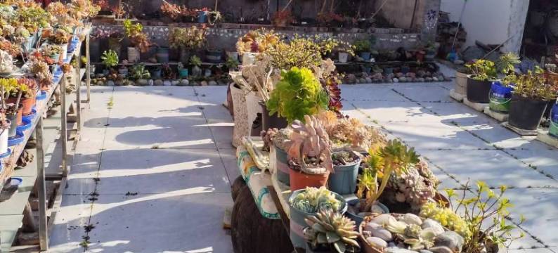 汉源花果缘农舍图片