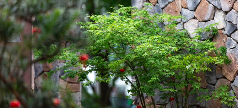 丽江且慢·YOGA酒店图片