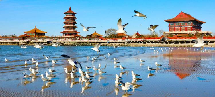 无花果海景连锁客栈(蓬莱海水浴场店)图片