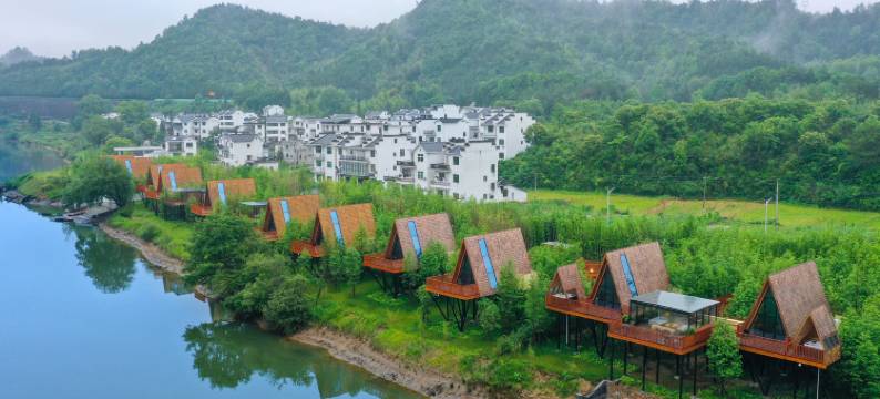 婺源树小蛙度假酒店图片