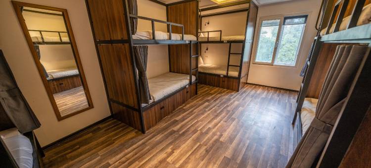 河内疯狂猴子旅舍(MAD Monkey Hanoi - Hostel)图片