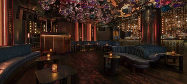 纽约市下东区Moxy酒店(Moxy NYC Lower East Side)图片