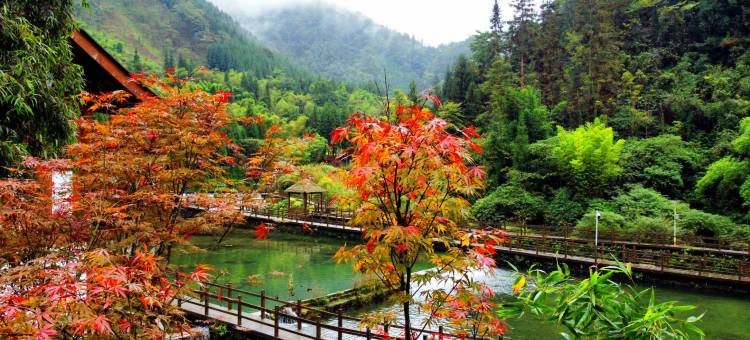 雅安荥经水墨花溪温泉谷民宿图片