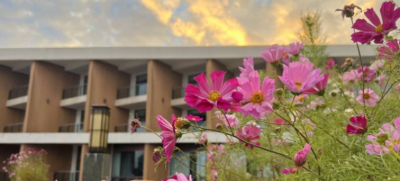 仙女山远山酒店图片